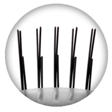 Olivia Garden black hair brush with boar bristles