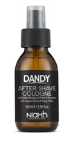 Dandy After Shave Cologne sprej pro vyživení pokožky 100ml